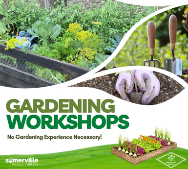 Gardening Workshop with Green City Growers 1